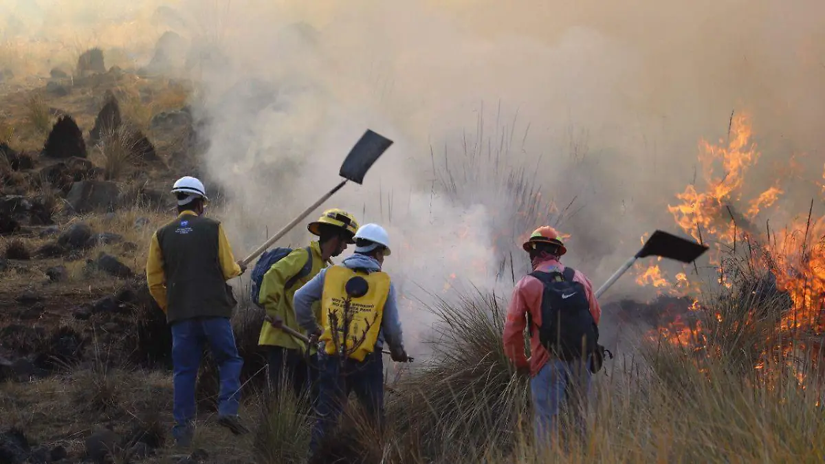 INCENDIOS (2)